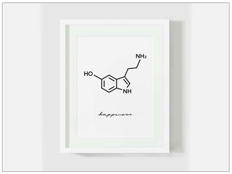 Tablou Art Text | Serotonina