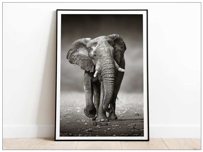 Tablou art Elephant