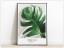 Tablou Fine Art Monstera frunze de palmier