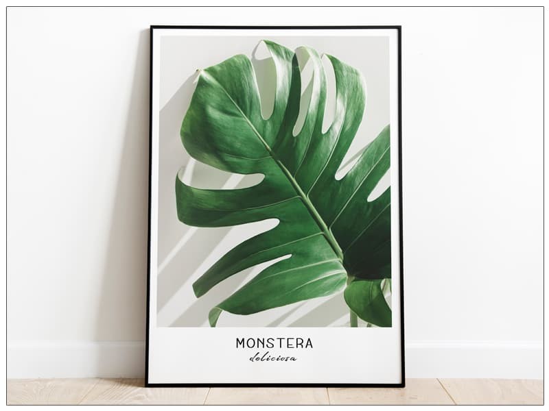 Tablou Fine Art Monstera frunze de palmier