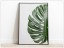 Tablou Fine Art Monstera frunze de palmier