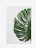 Tablou Fine Art Monstera frunze de palmier