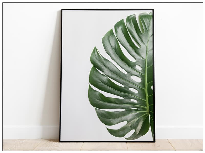 Tablou Fine Art Monstera frunze de palmier