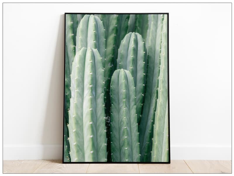 Tablou Fine Art frunze cactus