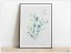 Tabloul Fine Art Frunze de eucalipt