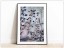  Tabloul Fine Art Blue Berries