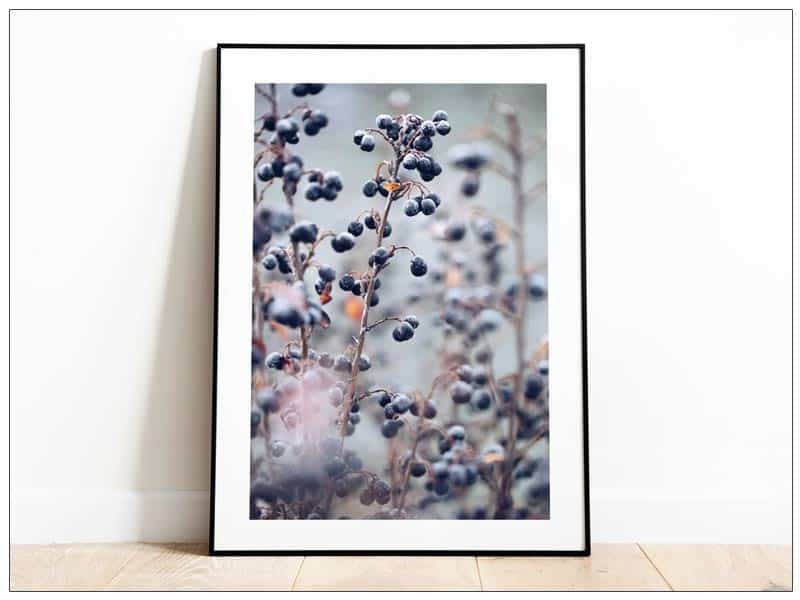  Tabloul Fine Art Blue Berries