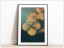  Tabloul Fine Art Dry Hydrangea