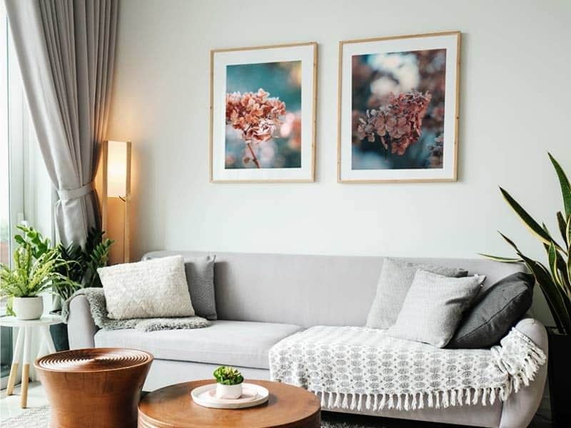 Set tablouri Art Prints Hydrangea