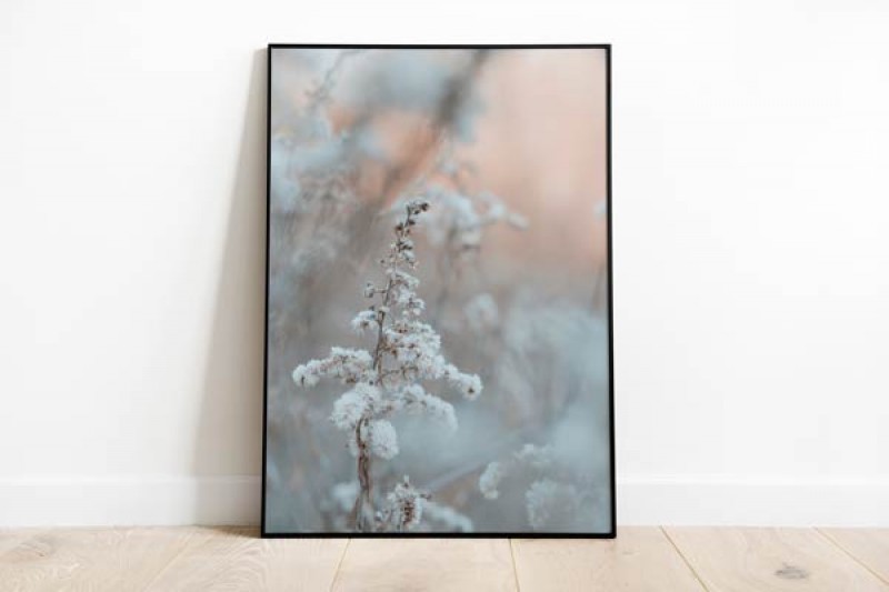    Tablou Fine Art Frozen Flower