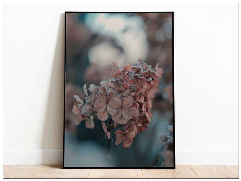  Tabloul Fine Art Hydrangea