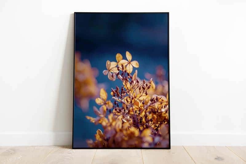  Tabloul Fine Art Hydrangea