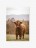 Tablou Art Print Scottish Highland Cattle