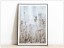 Tabloul Fine Art Dry Flowers