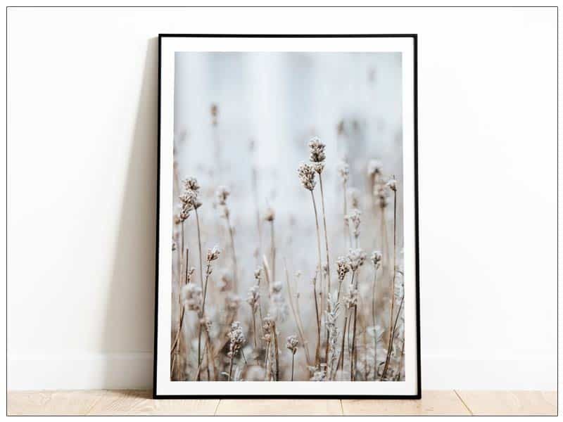  Tabloul Fine Art Dry Flowers