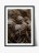 Art Print Windy Grass
