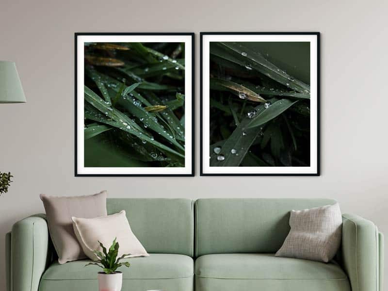 Set tablouri Art Prints Morning Dew
