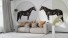 Tapet cai - Black Beauty