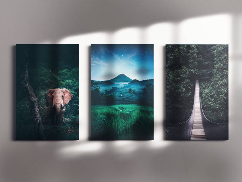 Tablou Canvas Art Print Jungla