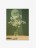 Tablou Art Print | Gypsophila Bloom no.1