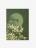 Tablou Art Print | Gypsophila Bloom no.2