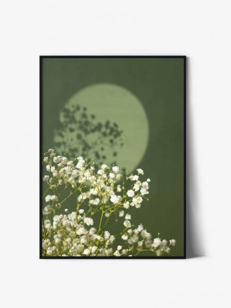 Tablou Art Print | Gypsophila Bloom