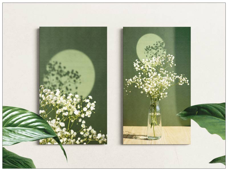Set 2 Tablouri Gypsophila Bloom