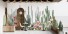 Tapet Premium Mural Cactus