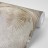 Tapet Premium Pardise Archway