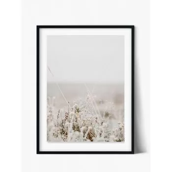 Art Print Soft Meadow