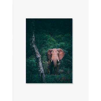    Tabloul Fine Art Elefant