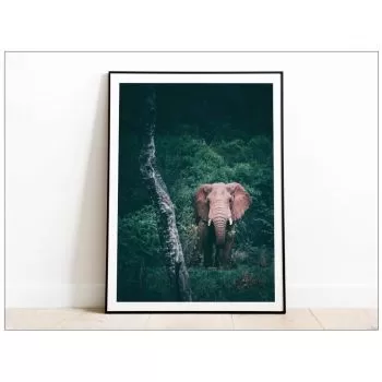  Tabloul Fine Art Elefant