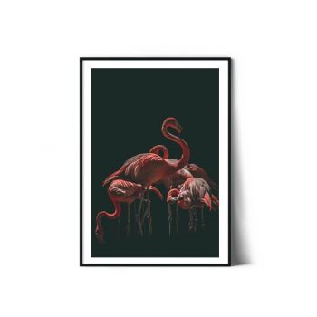 Tablou Photo Art | Flamingo