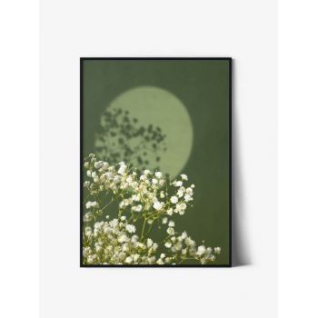 Tablou Art Print | Gypsophila Bloom