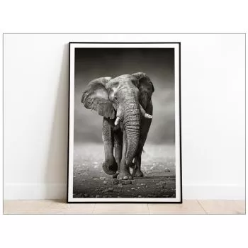 Tablou art Elephant