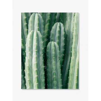 Tablou Fine Art Poster Cactus