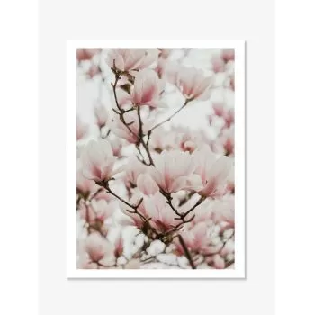 Tablou Fine Art magnolia