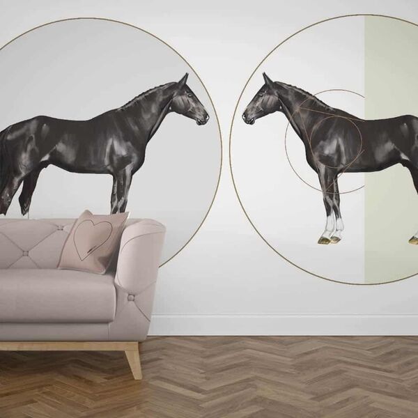 Tapet cai - Black Beauty