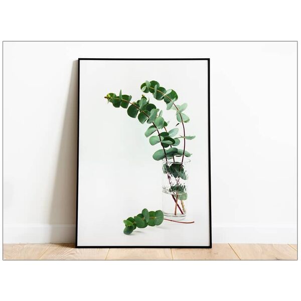 Print Fine Art Eucalipt