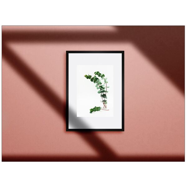 Print Fine Art Eucalipt