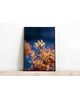  Tabloul Fine Art Hydrangea