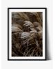 Art Print Windy Grass