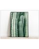 Tablou Fine Art frunze cactus